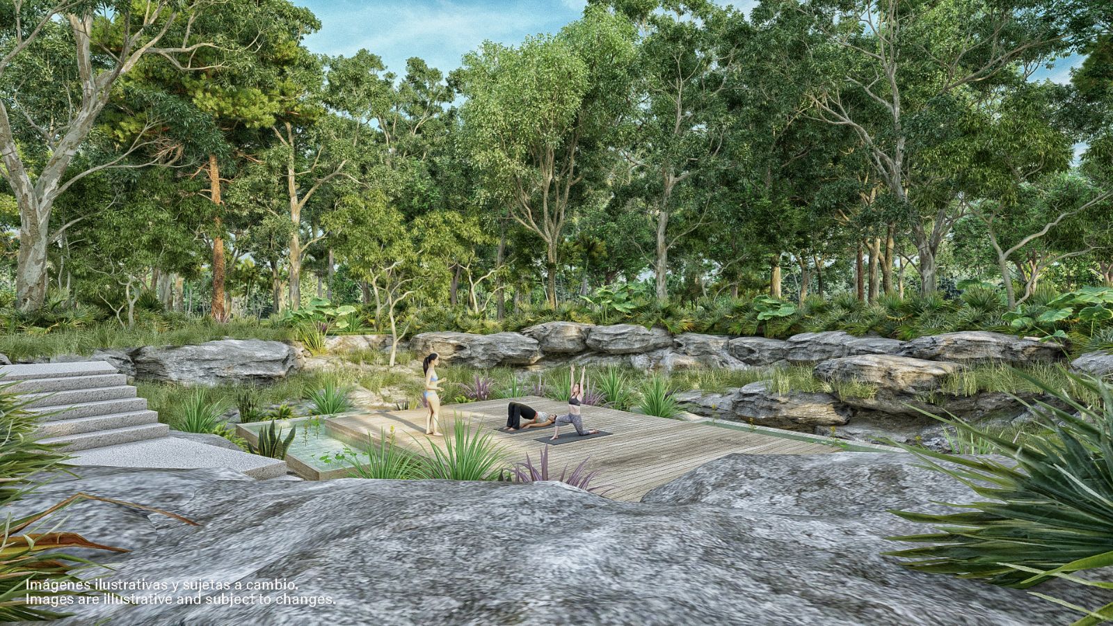 WELLNESS-PLATAFORMA-YOGA1